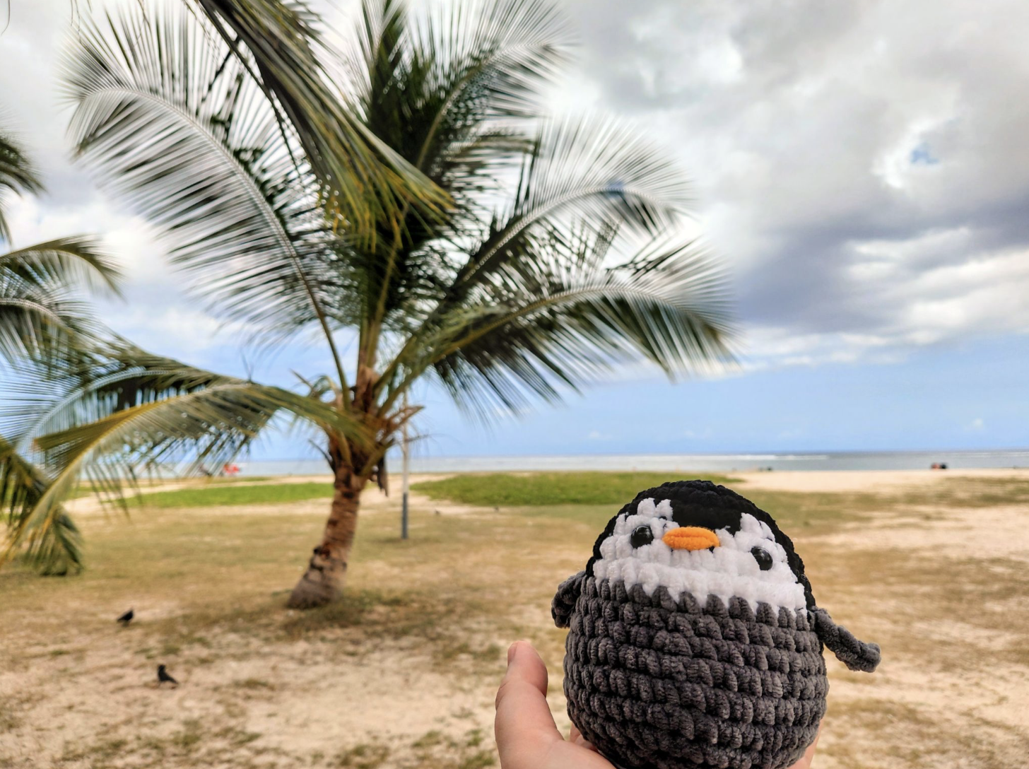Pebbles in Mauritius!
