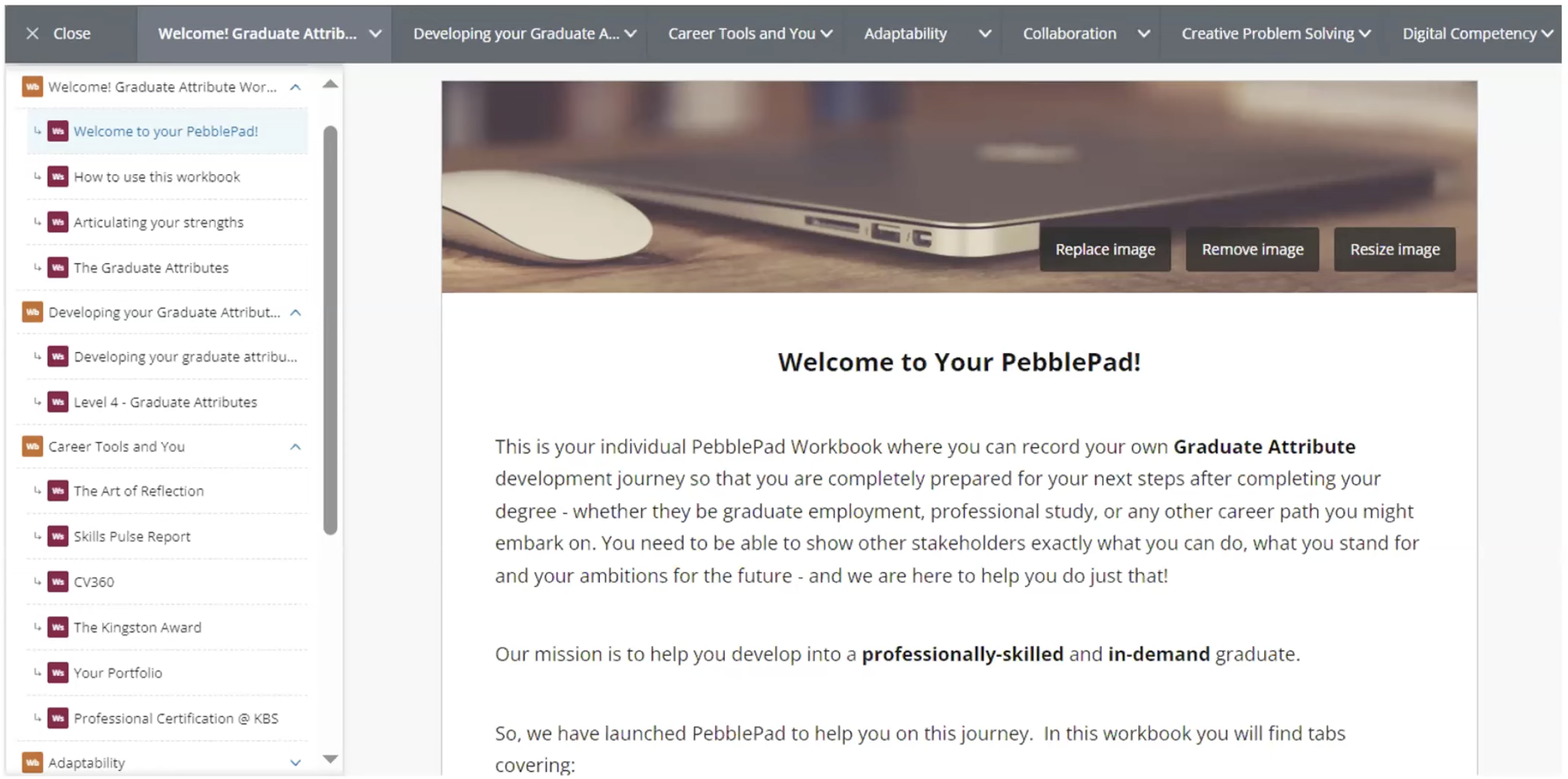 Example of PebblePad Workbook